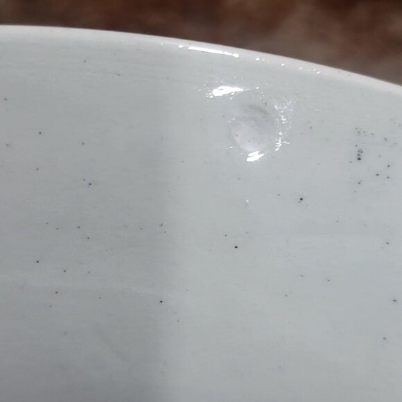 VTG Adams England Audubon Ruffed Grouse Birds of America Decorative Plate Chippe - Picture 9 of 14